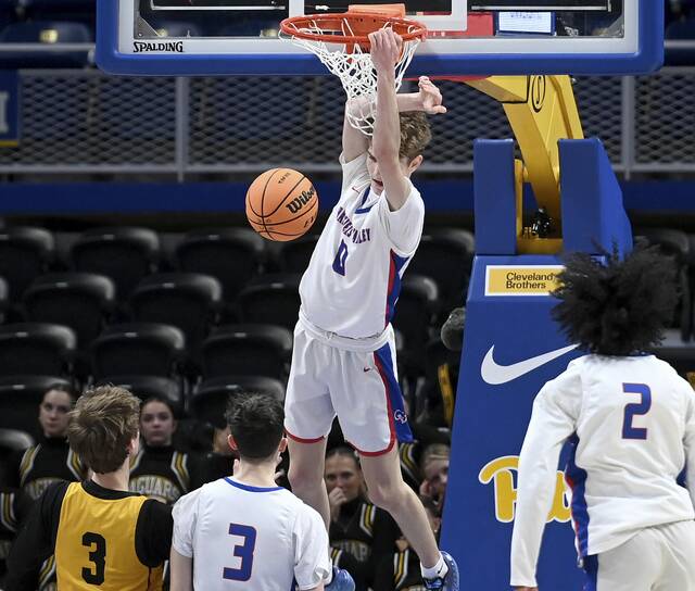 Trib HSSN basketball team of the week for March 15, 2026