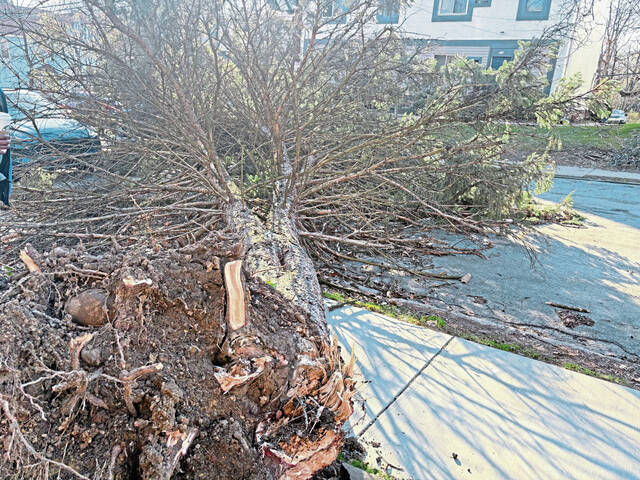 Wind gusts to continue today; cold front approaches