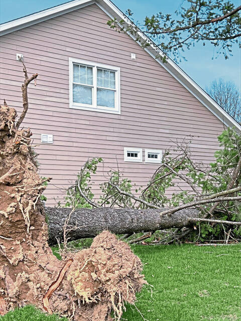 More damaging wind gusts possible ahead of 1-day cold snap