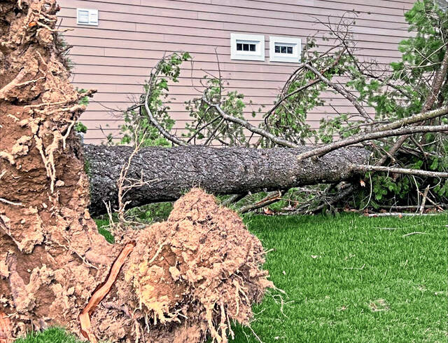 More damaging wind gusts possible ahead of 1-day cold snap