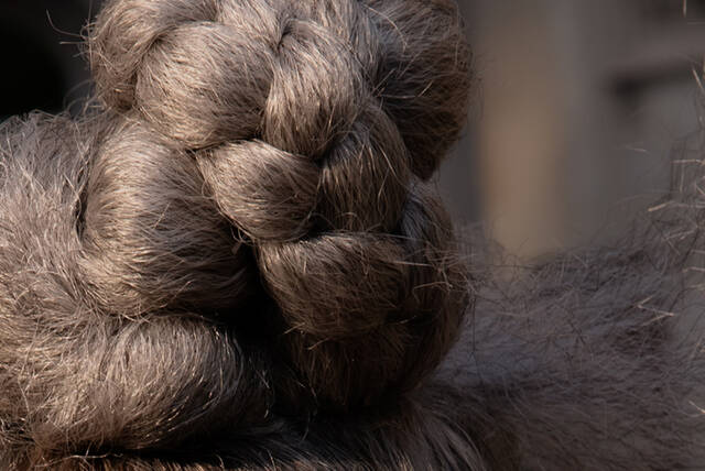 Slide 
													
													2