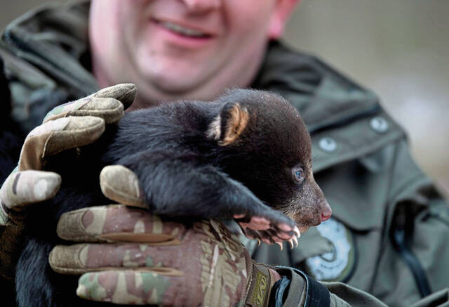 Slide 
													
													4