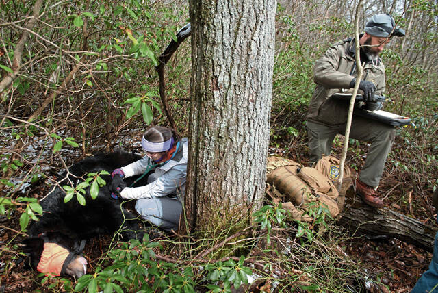 Slide 
													
													2