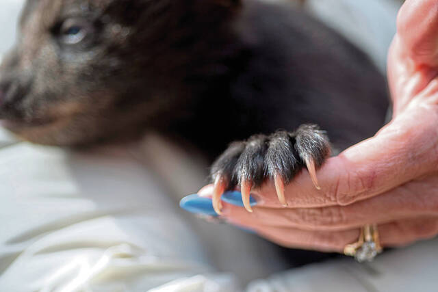 Slide 
													
													3