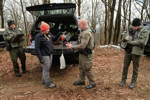 Slide 
													
													5