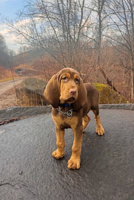 Slide 
													
													2