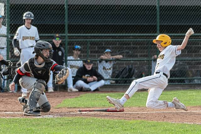 Quaker Valley Recreation Association proposed lights be installed at Bell Acres field