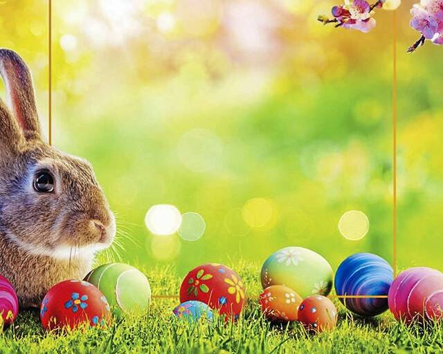 Westmoreland happenings: Egg hunt, Easter dinner, Race for Grace, more