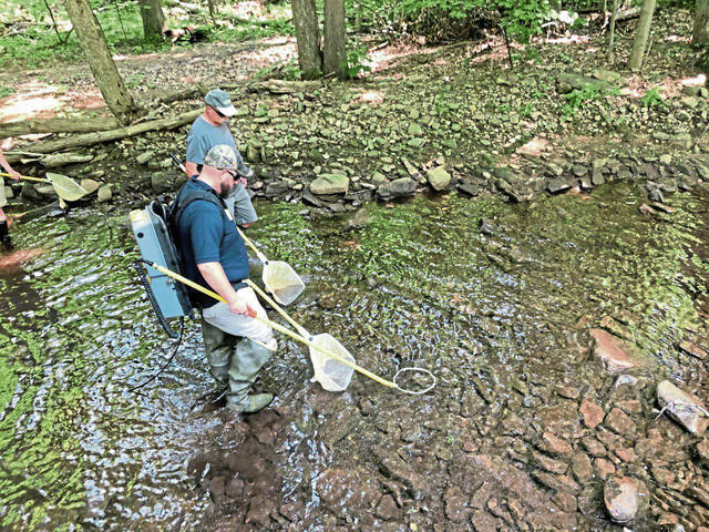 Trout group to meet on Linn Run trout restoration project