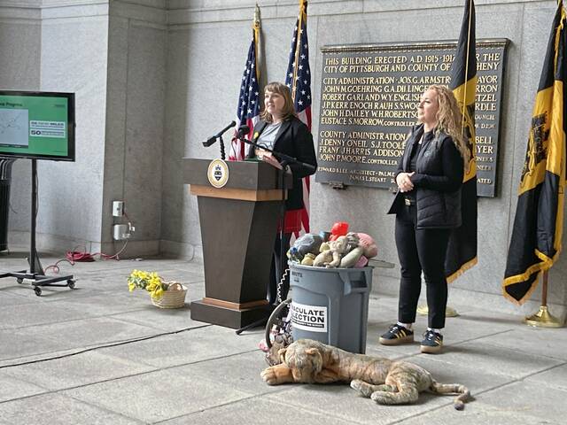 ‘Immaculate Collection’ clears 400 tons of litter ahead of 2026 NFL Draft