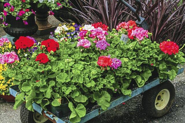 The Stroller, March 23, 2026: Events in the Alle-Kiski Valley