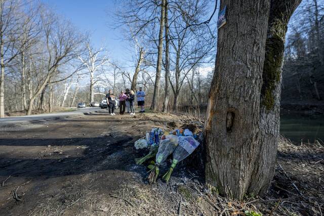 Slide 
													
													2