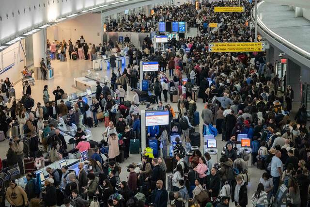 Enhanced role for immigration officers at US airports as shutdown frustrates travels and screeners