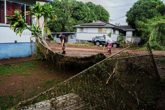 Slide 
													
													2