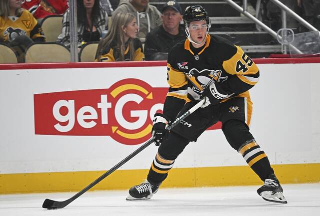 Penguins prospect Harrison Brunicke’s plans remain clear