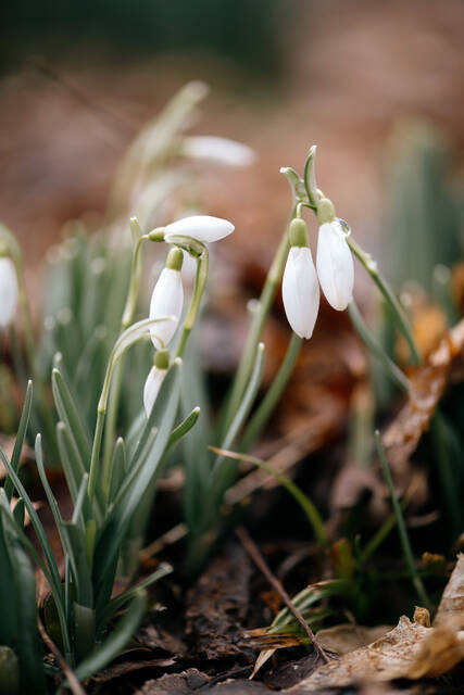 Spring is here, Do you care?