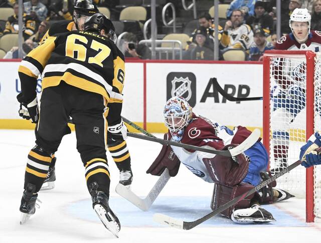 Slide 
													
													11