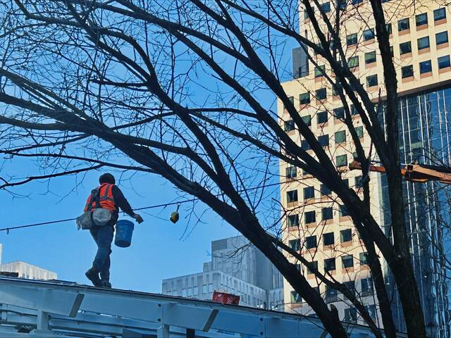 Slide 
													
													6