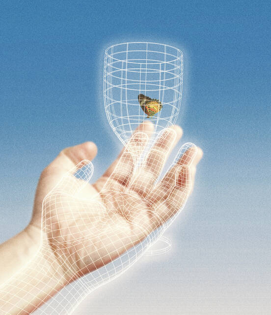 Slide 
													
													5