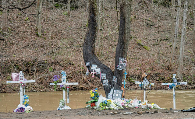 Slide 
													
													2