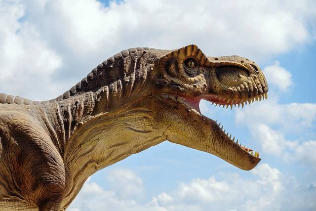 Slide 
													
													2