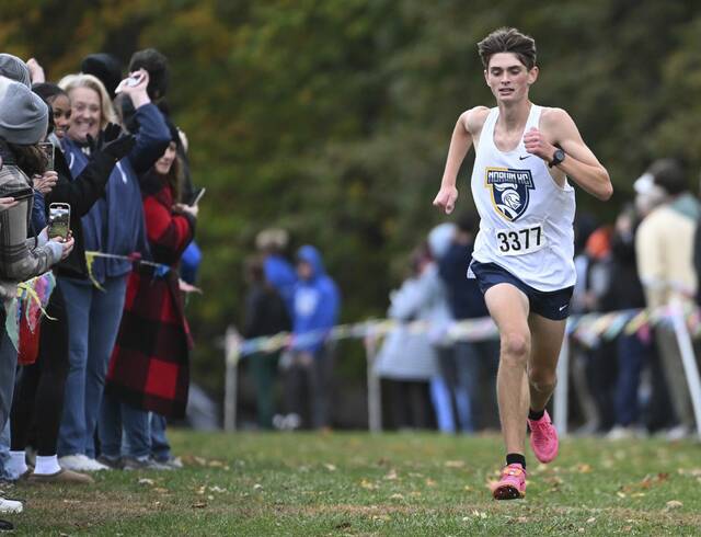 Norwin track teams out to defend WPIAL team titles