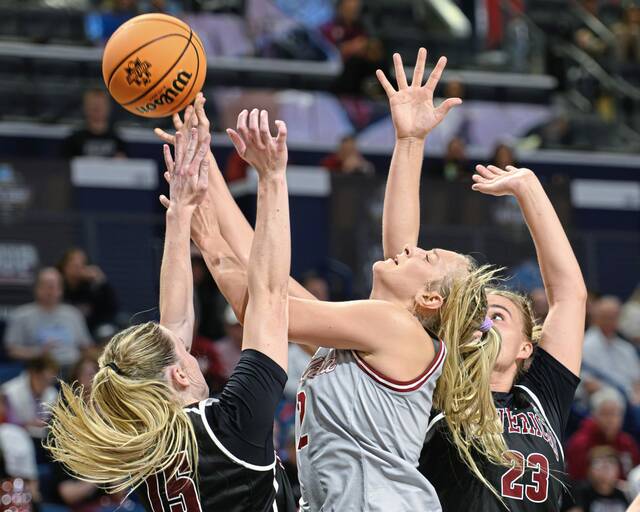 Slide 
													
													2