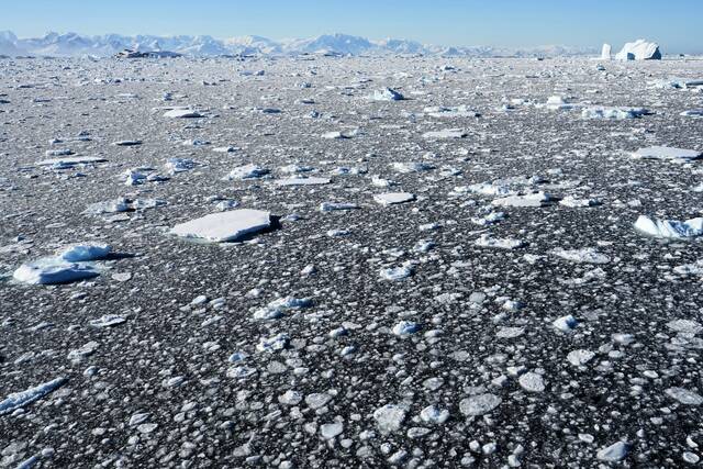 Arctic sea ice hits lowest winter level as unprecedented heat hits smashes records all over Earth