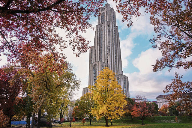 University of Pittsburgh investing $5M in Pittsburgh parks, public safety