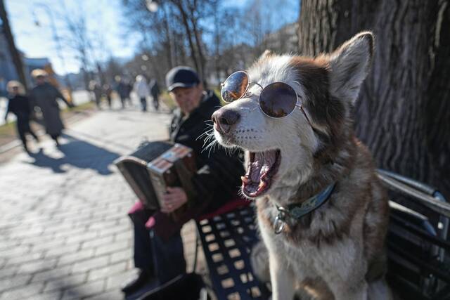 Gallery: Around the world or close to home, the world in focus on April 1, 2026