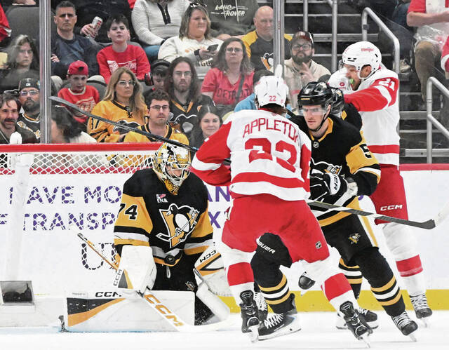 Slide 
													
													11