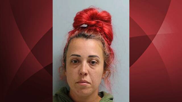 Judge weighs testimony from surviving children in Delmont mother’s murder trial