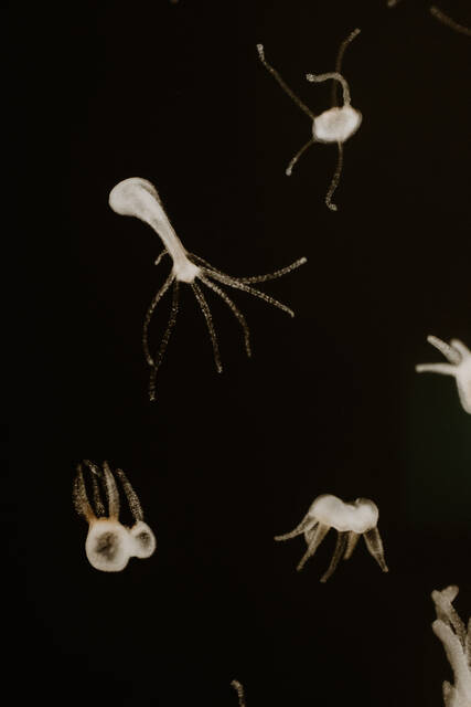 Slide 
													
													4