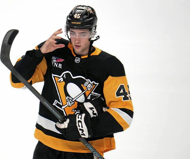 Penguins assign defenseman Harrison Brunicke to Wilkes-Barre/Scranton