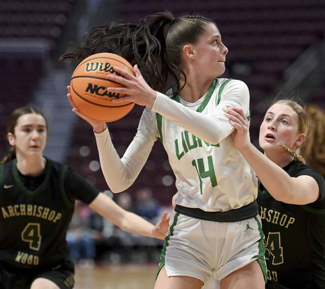 3 WPIAL girls basketball standouts named state players of the year; 2 coaches also honored