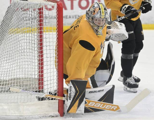 Penguins goaltending prospect Gabriel D’Aigle signs tryout contract with Nailers