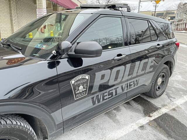 Civilian uses police radio to get help for Ross detective fighting with assault suspect