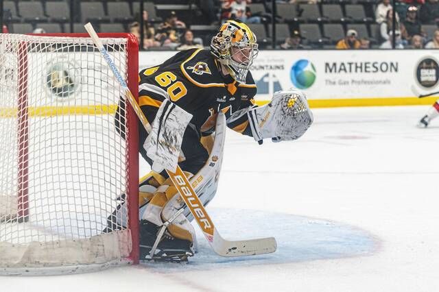Minor league report: Nailers’ winning streak snapped as Gabriel D’Aigle debuts