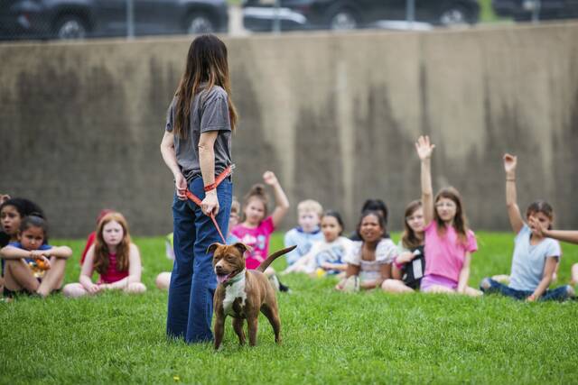 The Stroller, April 12, 2026: Events in the Alle-Kiski Valley