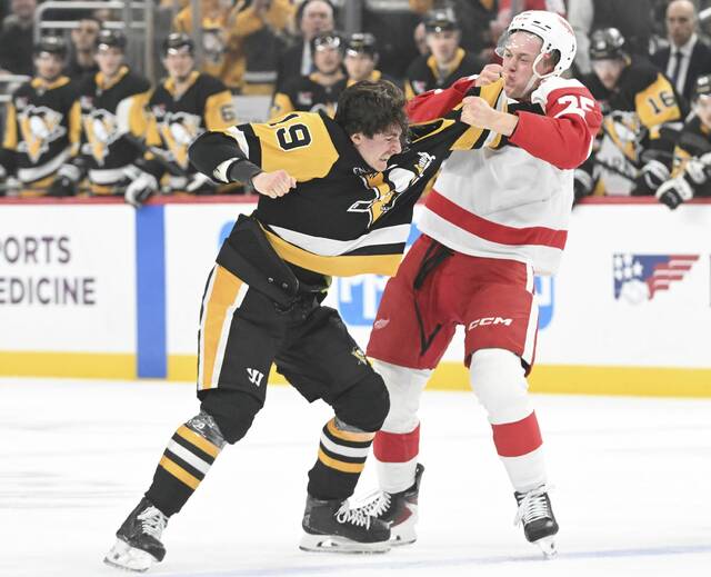 Why are the Penguins fighting more this season?