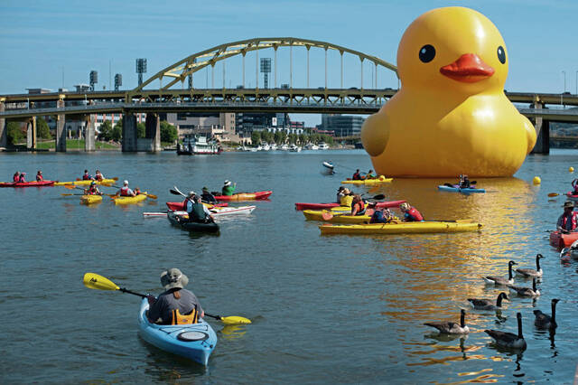 World’s largest rubber duck arrives ahead of NFL Draft