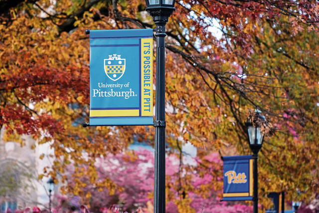 Pitt to offer online Infant Mental Health certificate