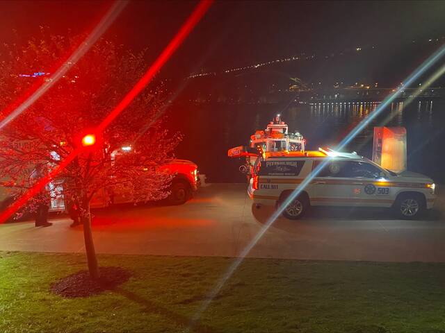A bystander helped hold a mans arm until first responders arrived after the man fell into the Allegheny River Wednesday. (Courtesy of Pittsburgh Public Safety)