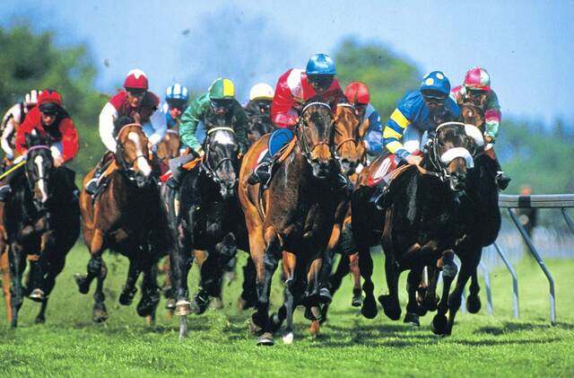 Westmoreland happenings: Night at the races, scholarship, mulch sale, more