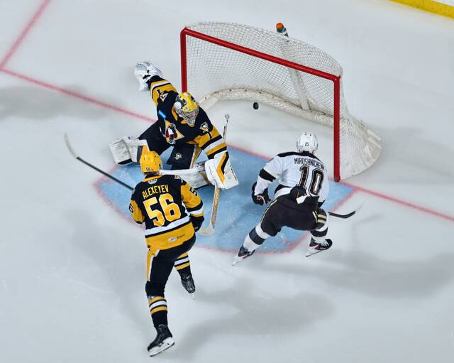 Minor league report: Penguins, Sergei Murashov fall to Bears