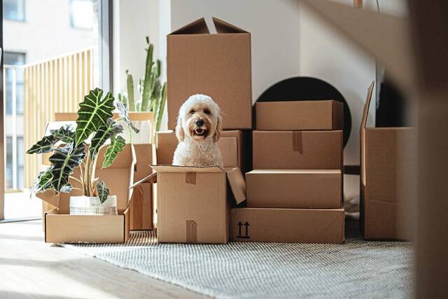 Eastern Pittsburgh suburban real estate transactions for the week of April 19, 2026