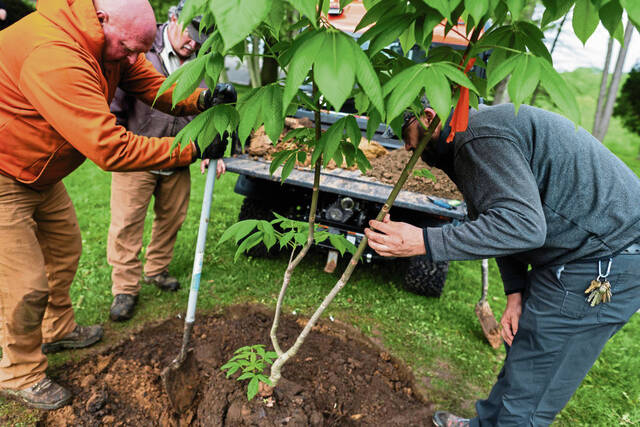 Land Trust plans tree planting, highway clean-up Saturday