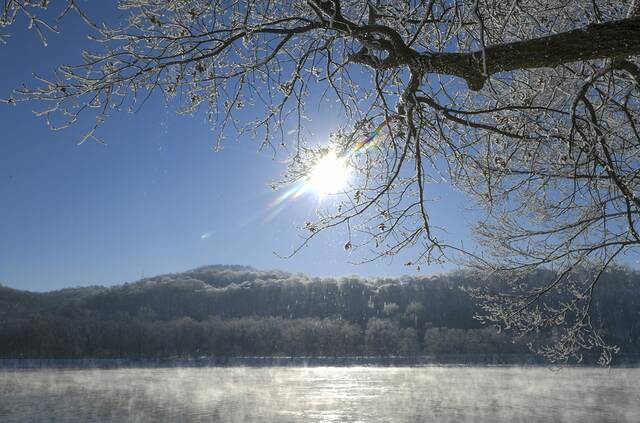 
			
				                                A scene from January 2022: Frost on a tree along the Allegheny River in Natrona.

			
		