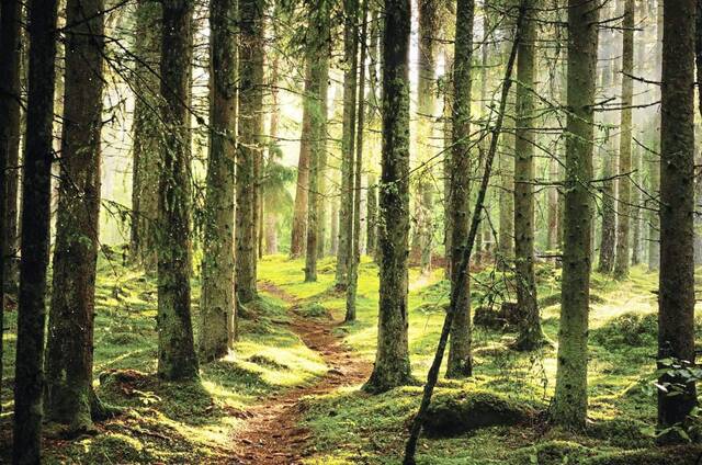 The Stroller, April 21, 2026: Events in the Alle-Kiski Valley