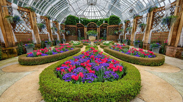 ‘True Colors’ of Phipps Conservatory shine through at Spring Flower Show